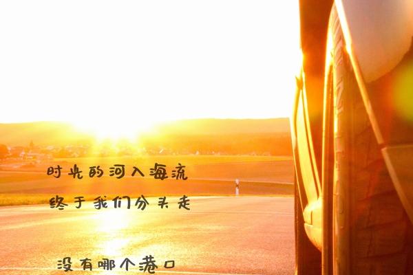 2026年牛女大富大贵