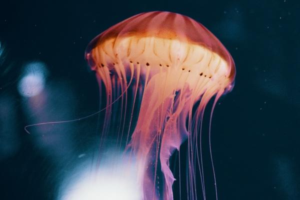 78年马过47岁是穷是富