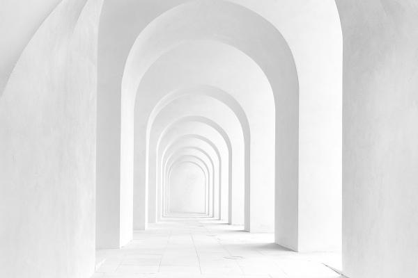 薄命鼠是几月的鼠