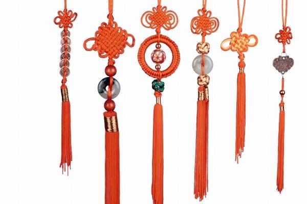 狗一生的恩人是谁