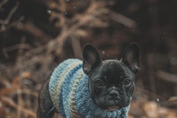 2026年农历7月相亲吉日查询,哪几天可以相亲