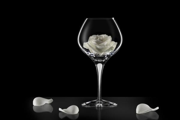 土蛇命和什么比较合