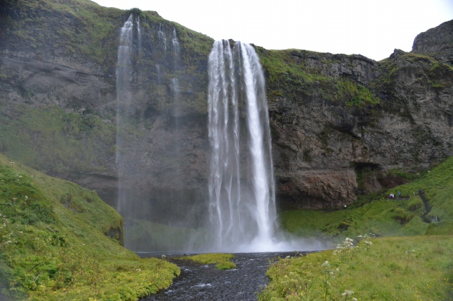 75年兔女桃花劫是谁