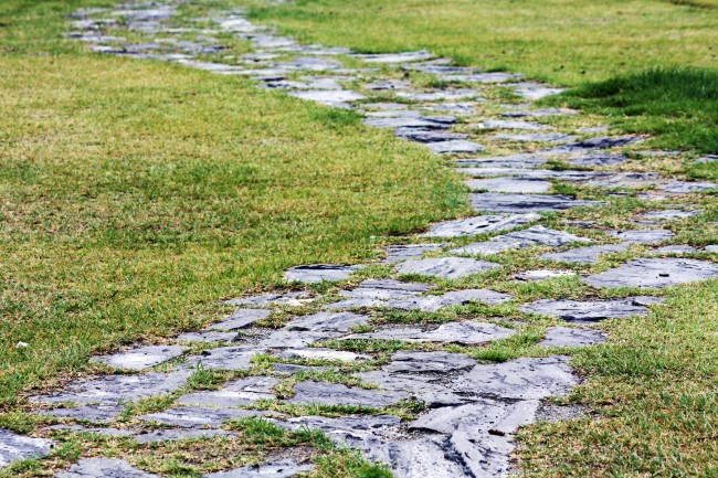 2026年属兔人贵人运如何提升