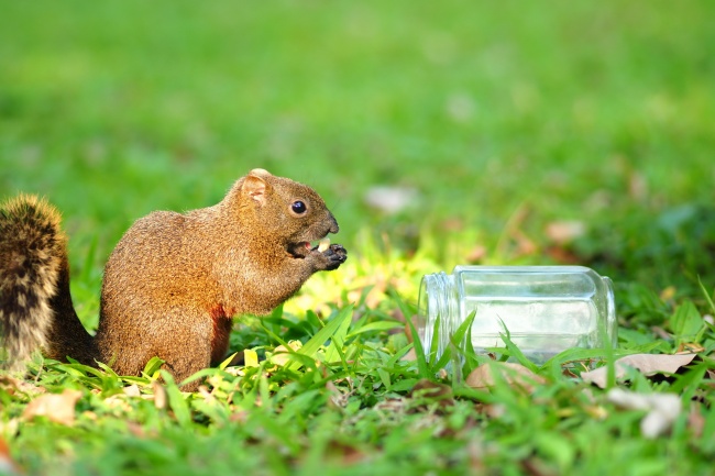 2026牛女最佳穿衣颜色