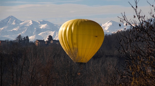 二月鼠是什么命