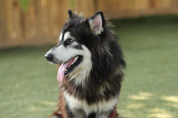 属龙一生最吃香的行业