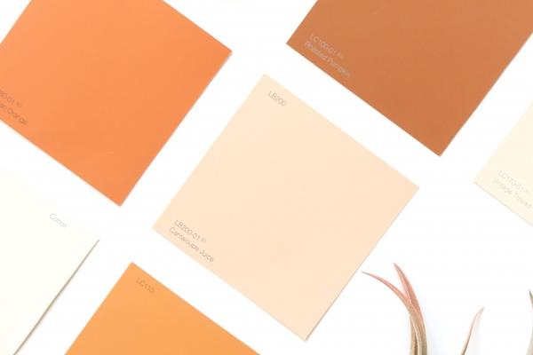 土羊命是几等命