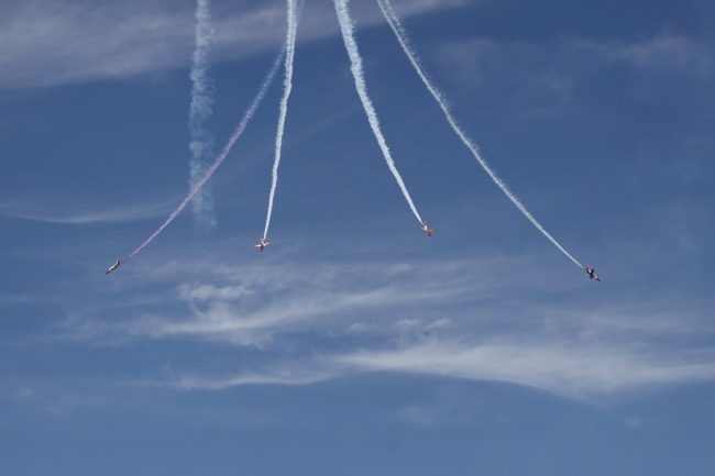 2026年属猪的几月搬家最好