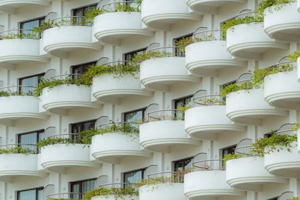 三月虎女是苦命还是富贵