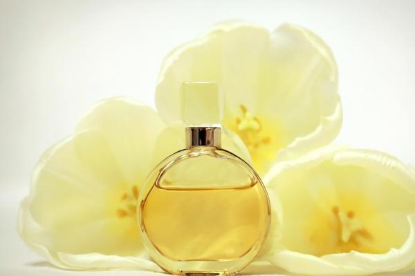 2026年属鼠的真爱是谁