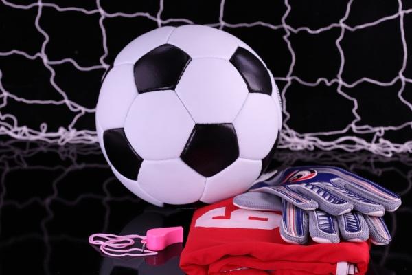 一月属虎男的命如何