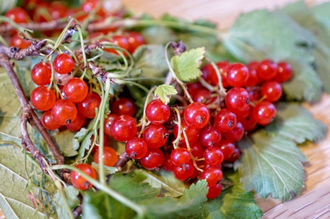 属鸡人2026年小心什么