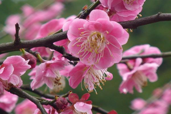 土羊命和大海水女命相配吗