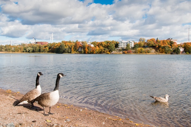 75属兔男最终婚姻结局