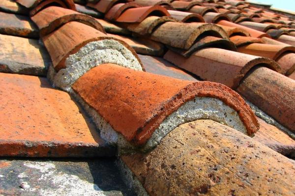 2026年属蛇必有大祸