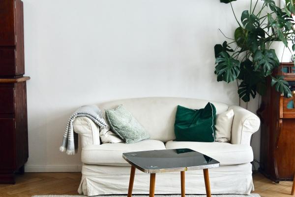 属马2026年如何避免破财