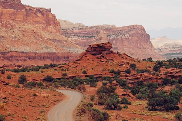 属龙开店最旺三个地方