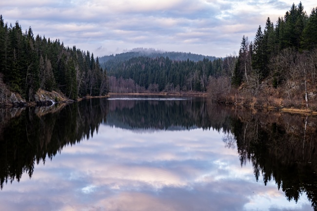 属龙的交运忌什么属相