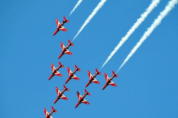 属牛的从2026年就顺了