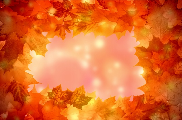 属虎的一生有几次真爱