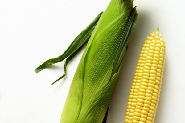 属龙的一生有几次真爱