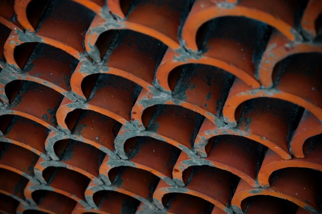 2026年属羊必有大祸