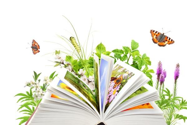 属虎开店最旺三个地方