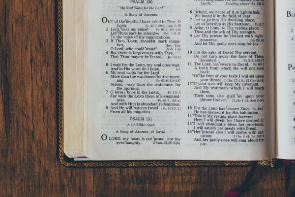 99年兔男几岁遇真爱