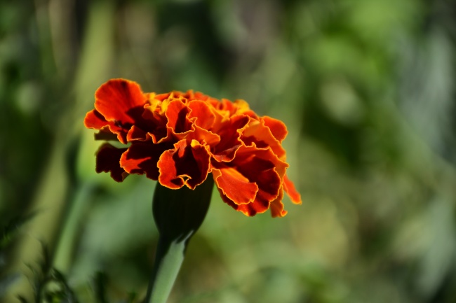 属兔主卧最好位置