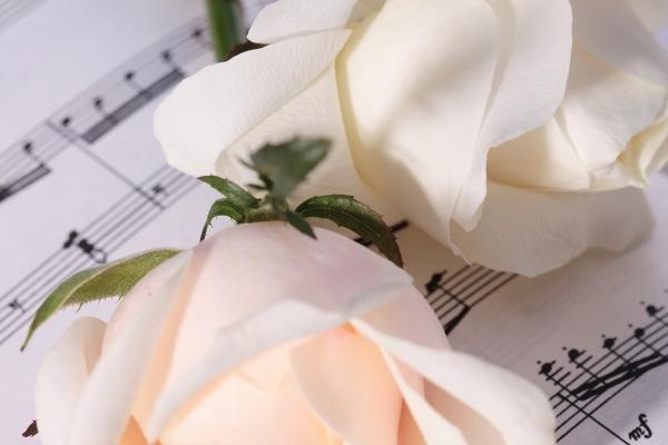 2026年属牛人会分手吗