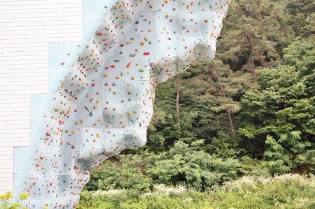 属龙本命年应该注意什么