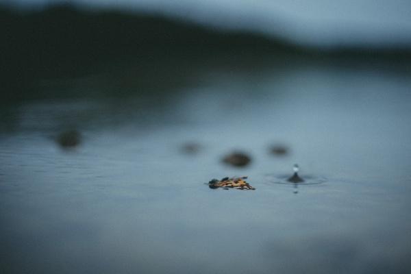 蛇戴什么观音最旺