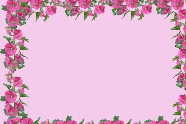 82年狗44岁桃花劫是谁