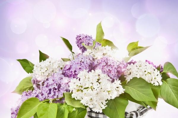 属猴的人搬家忌什么属相，属猴人搬家注意什么