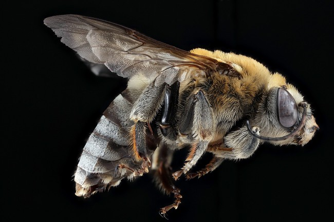 55年属羊女的晚年如何