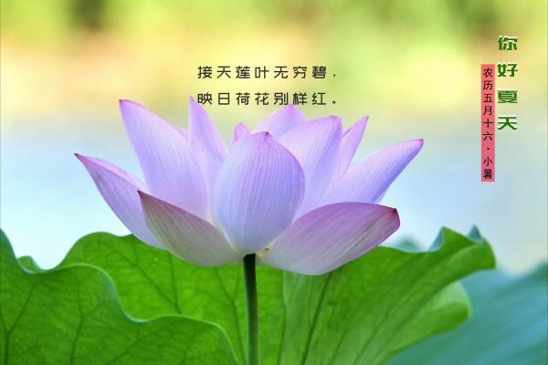 2027属鼠人披麻戴孝吗
