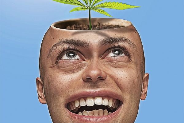 2027属虎人运势