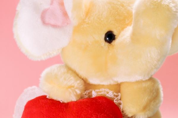 属虎缘分最深的生肖