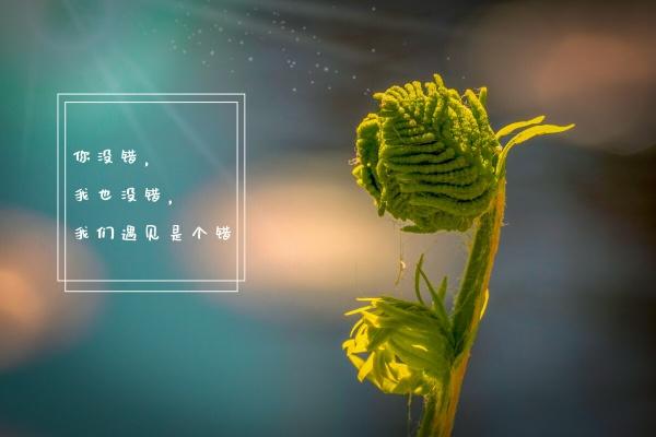梦到给别人开车是好是坏